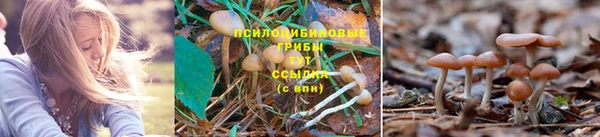 меф VHQ Горняк