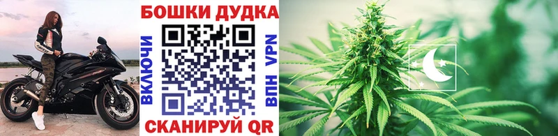 Конопля AK-47  закладка  Дербент 